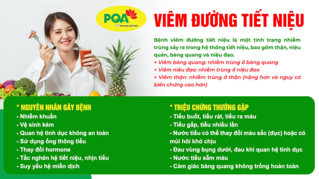 Nguyên nhân và triệu chứng viêm đường tiết niệu