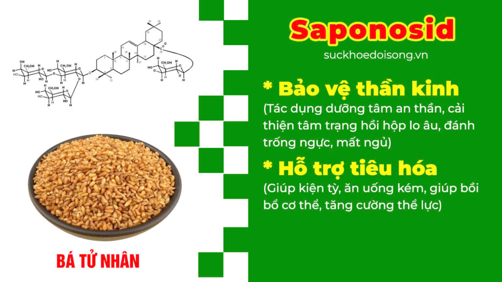 Thành phần hoá học Bổ thần kinh