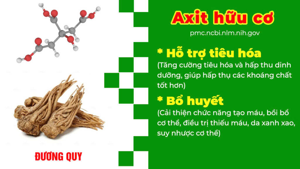 Thành phần hoá học Bổ thần kinh