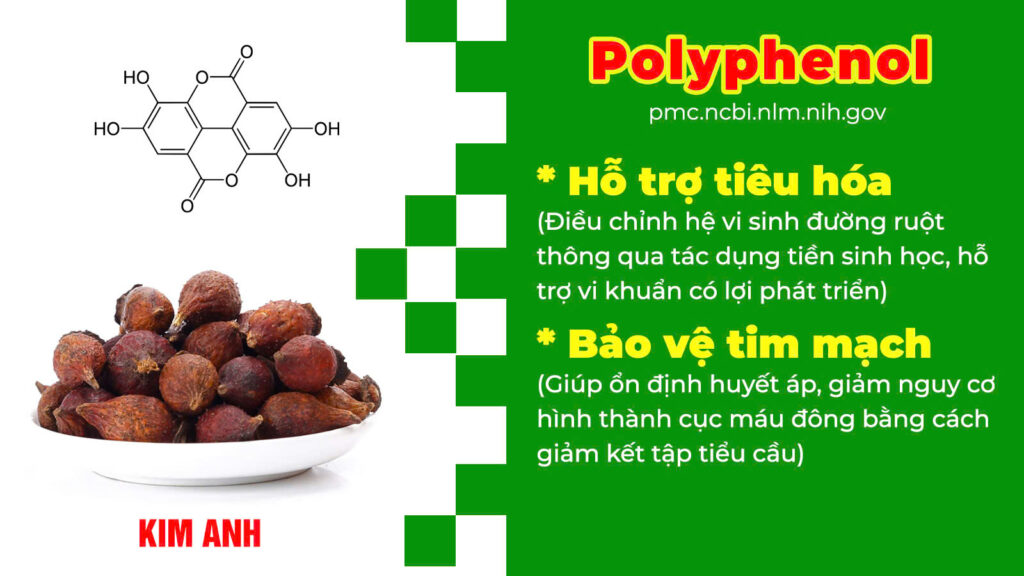 Thành phần hoá học Bổ thần kinh