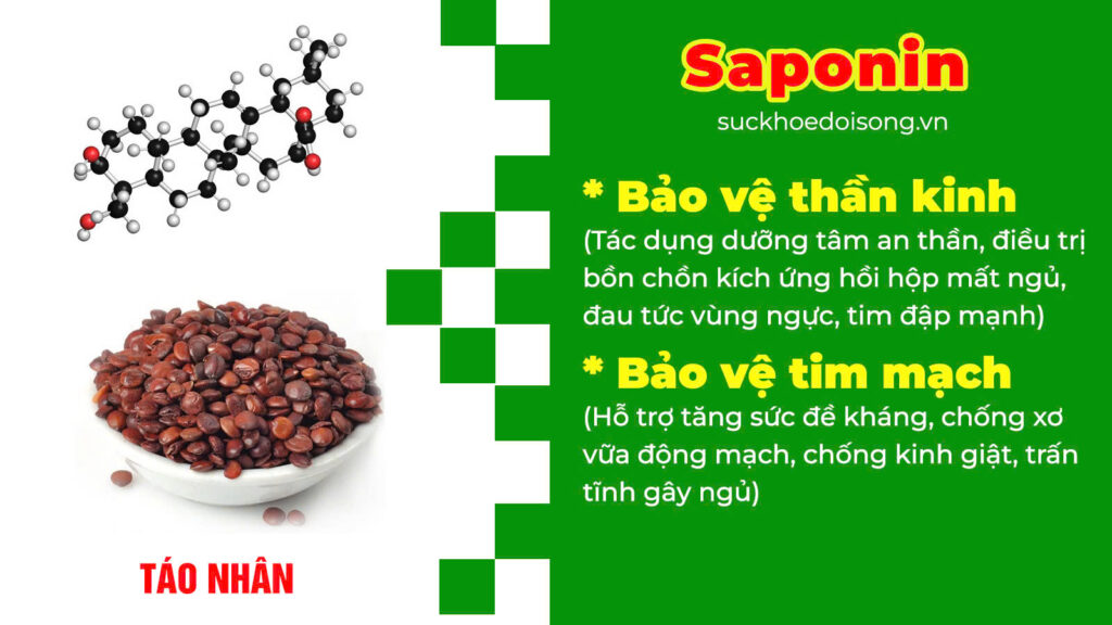 Thành phần hoá học Bổ thần kinh