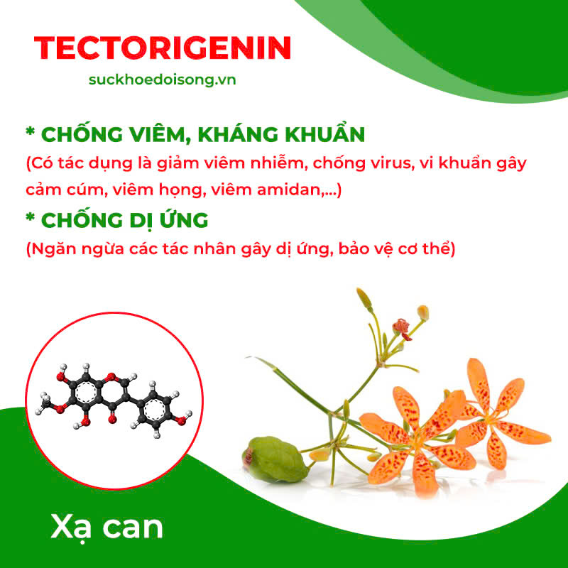 Thành phần hoá học Cốm ho hen