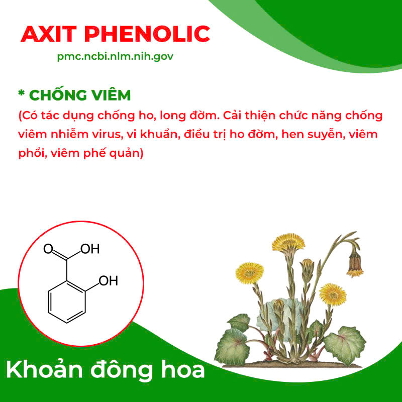 Thành phần hoá học Cốm ho hen