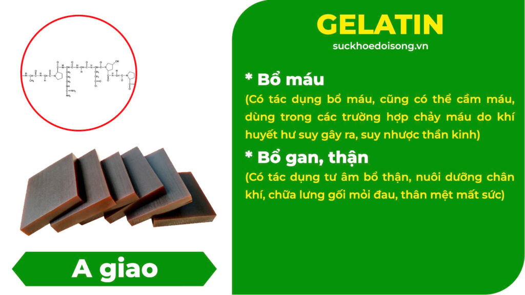 Thành phần hoá học Đại bổ khí huyết