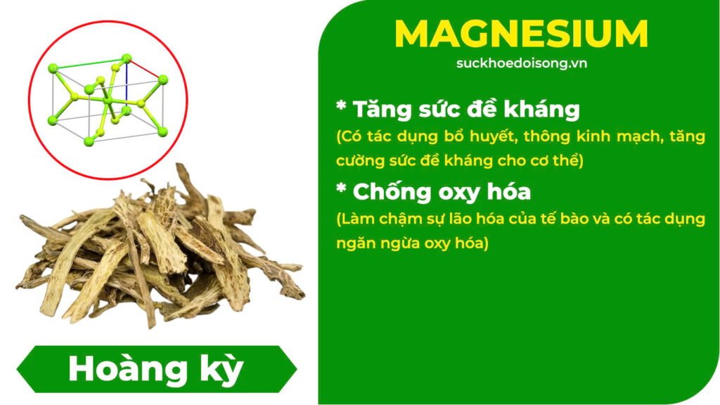 Thành phần hoá học Đại bổ khí huyết