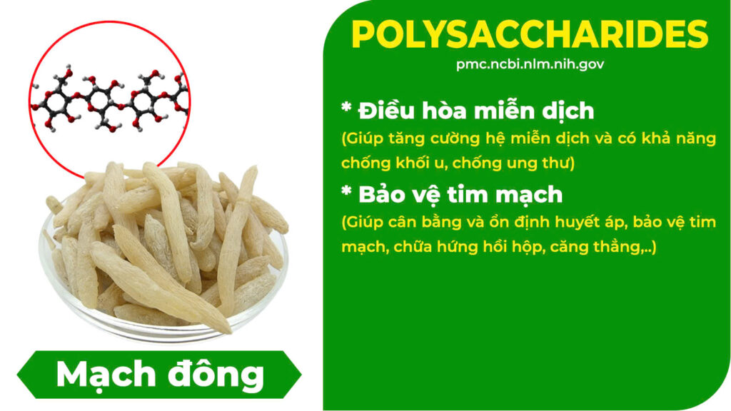 Thành phần hoá học Đại bổ khí huyết