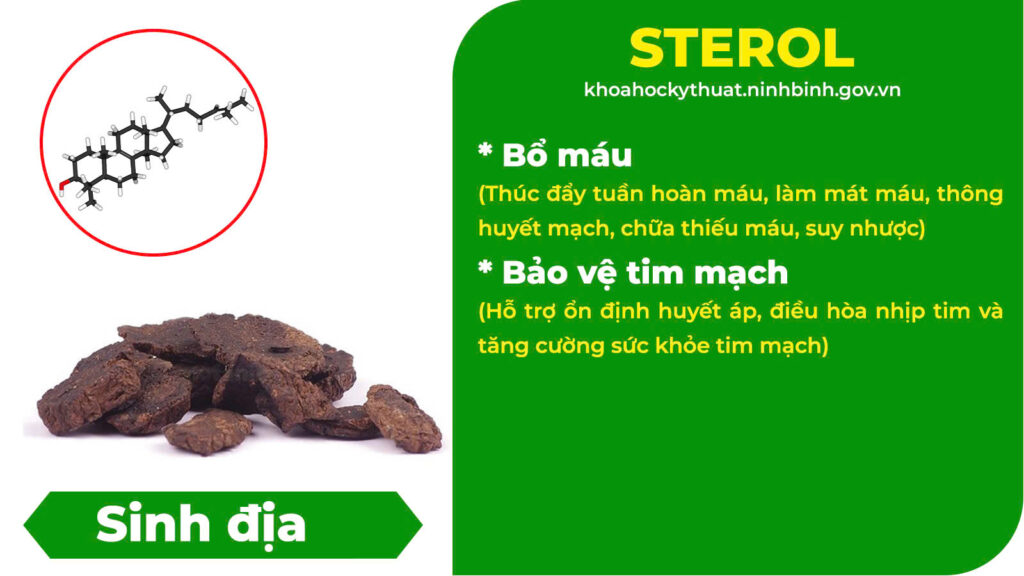 Thành phần hoá học Đại bổ khí huyết