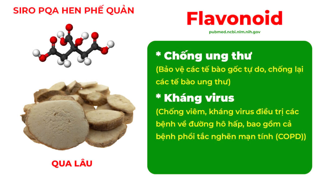 Thành phần hoá học Hen phế quản