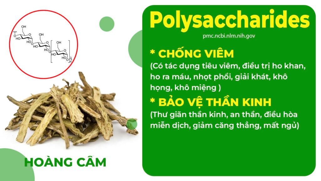 Thành phần hoá học Hoàng cầm