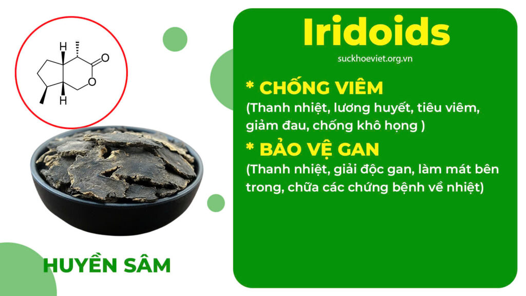 Thành phần hoá học Hoàng cầm