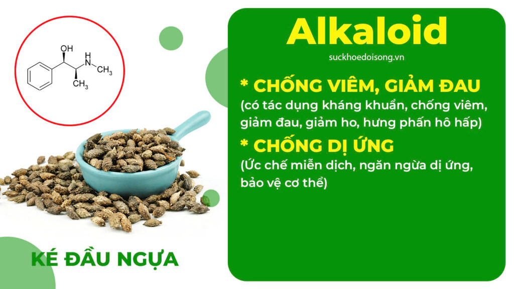 Thành phần hoá học Hoàng cầm