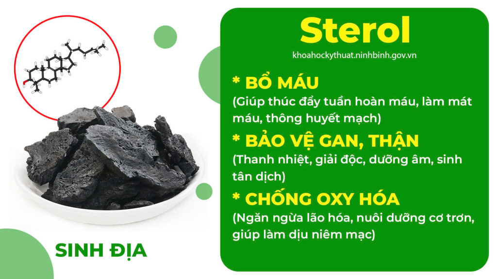 Thành phần hoá học Hoàng cầm