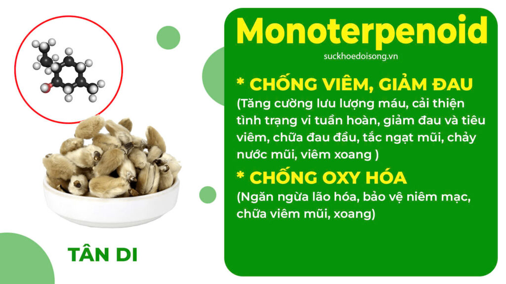 Thành phần hoá học Hoàng cầm