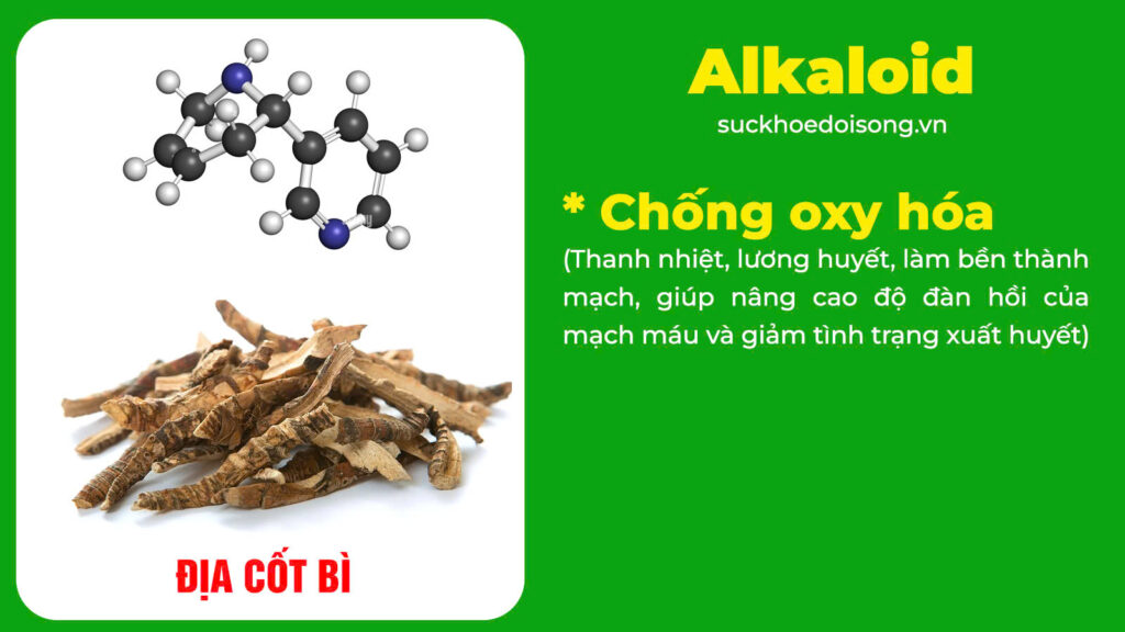 Thành phần hoá học Huyền sâm 