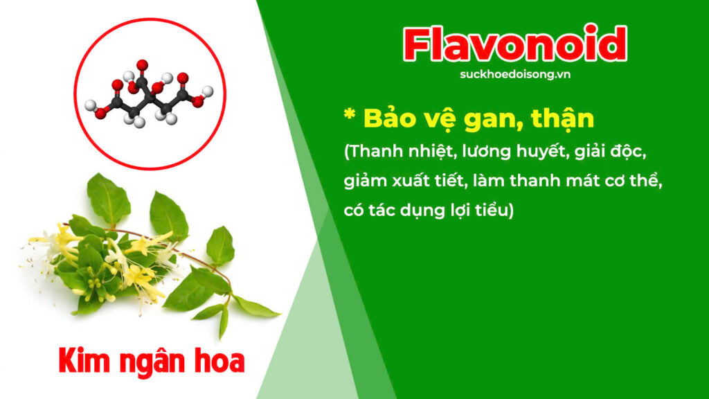 Thành phần hoá học Lợi tiểu 
