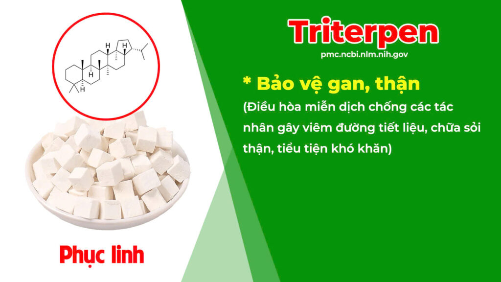 Thành phần hoá học Lợi tiểu 