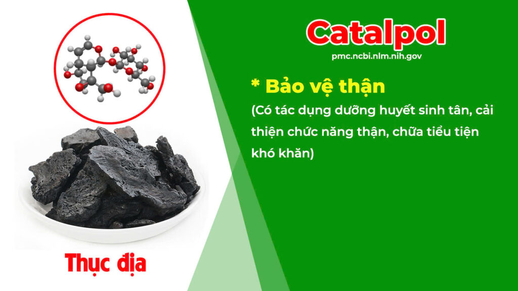 Thành phần hoá học Lợi tiểu 