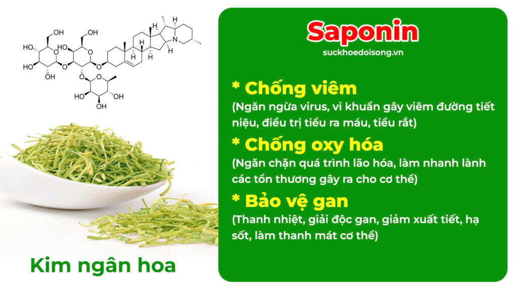 Thành phần hoá học Mộc Thông