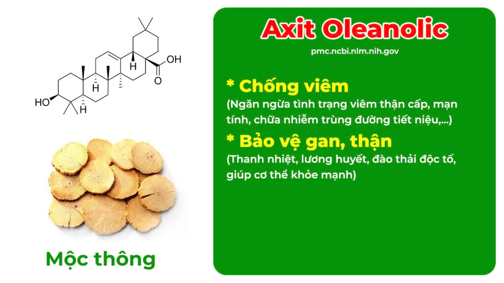 Thành phần hoá học Mộc Thông
