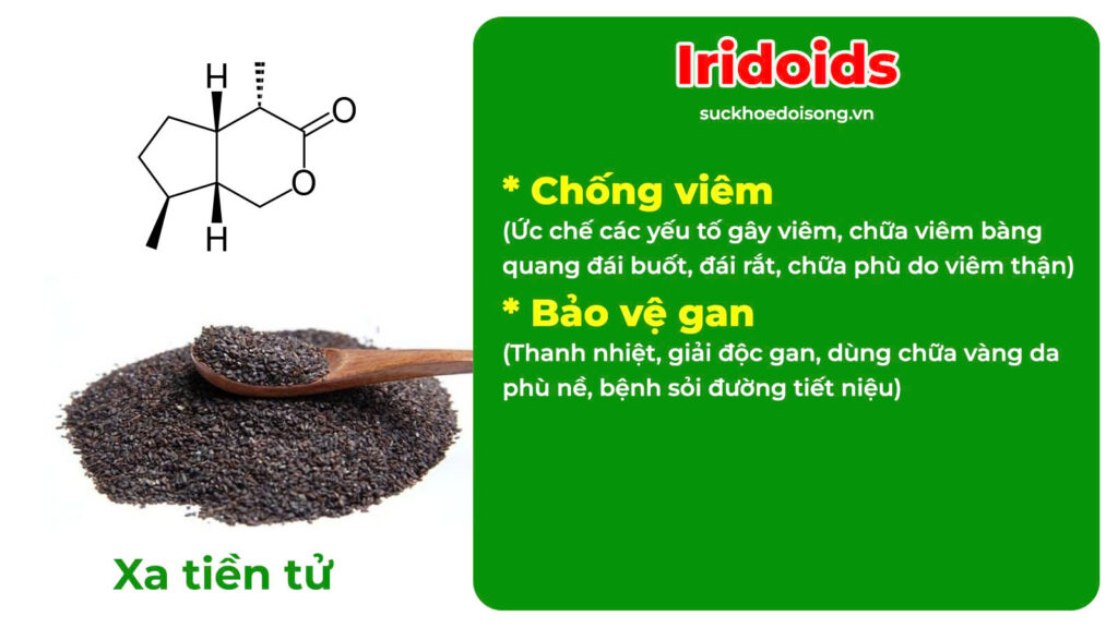 Thành phần hoá học Mộc Thông