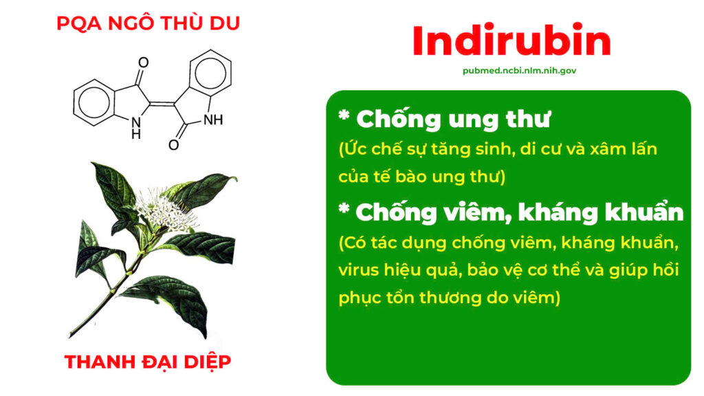 Thành phần hoá học Ngô Thù Du