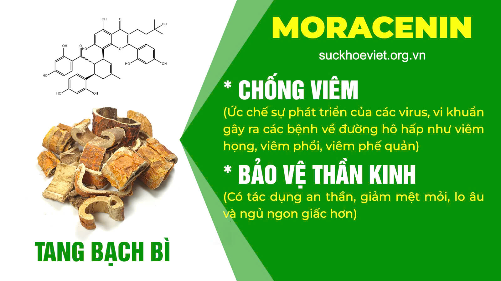 Thành phần hóa học PQA Ho 