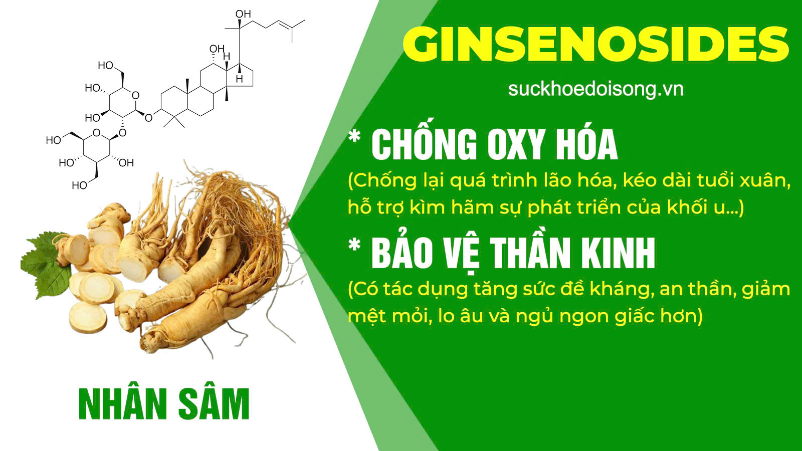 Thành phần hóa học PQA Ho 