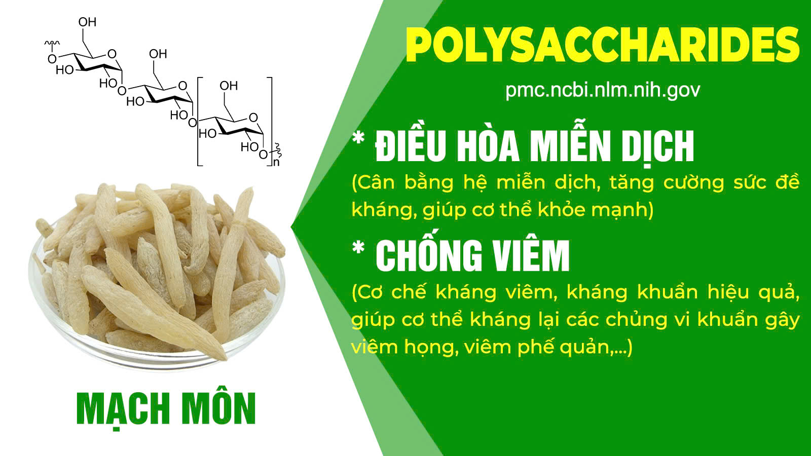 Thành phần hóa học PQA Ho 