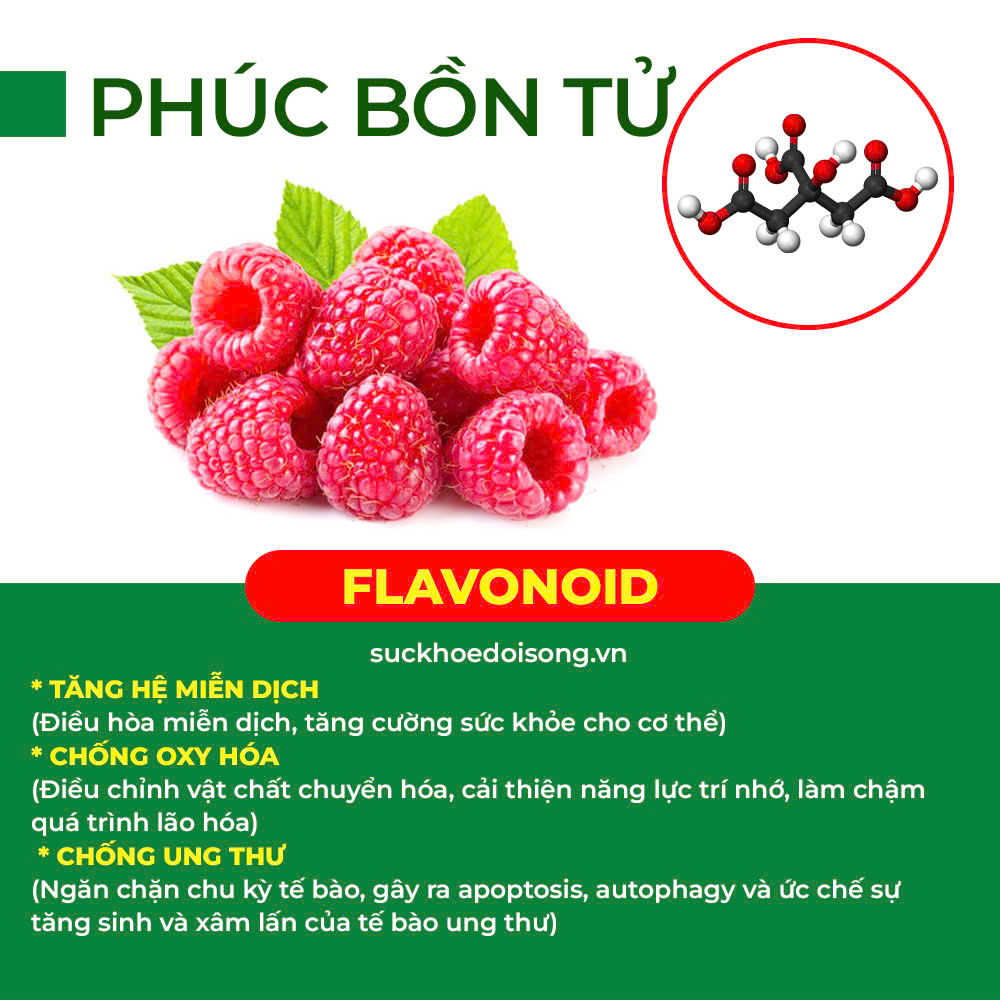 Thành phần hoá học Tăng sức đề kháng