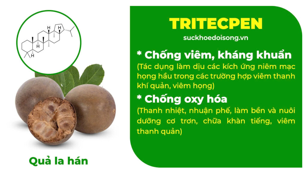 Thành phần hoá học Thanh phế trà
