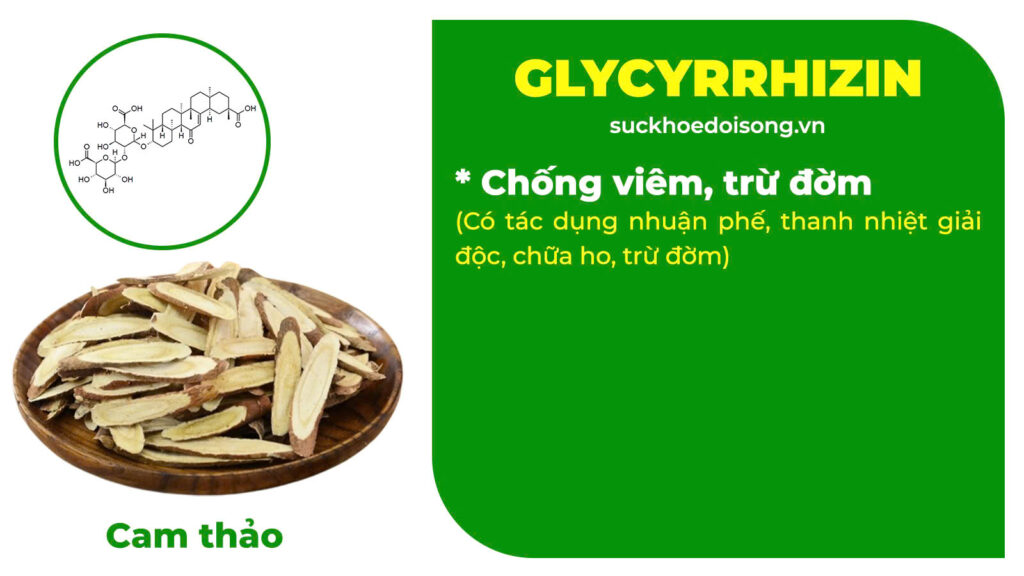 Thành phần hoá học Thanh phế trà