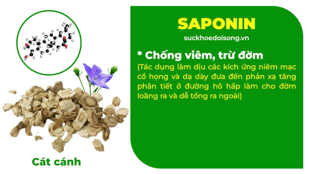 Thành phần hoá học Thanh phế trà