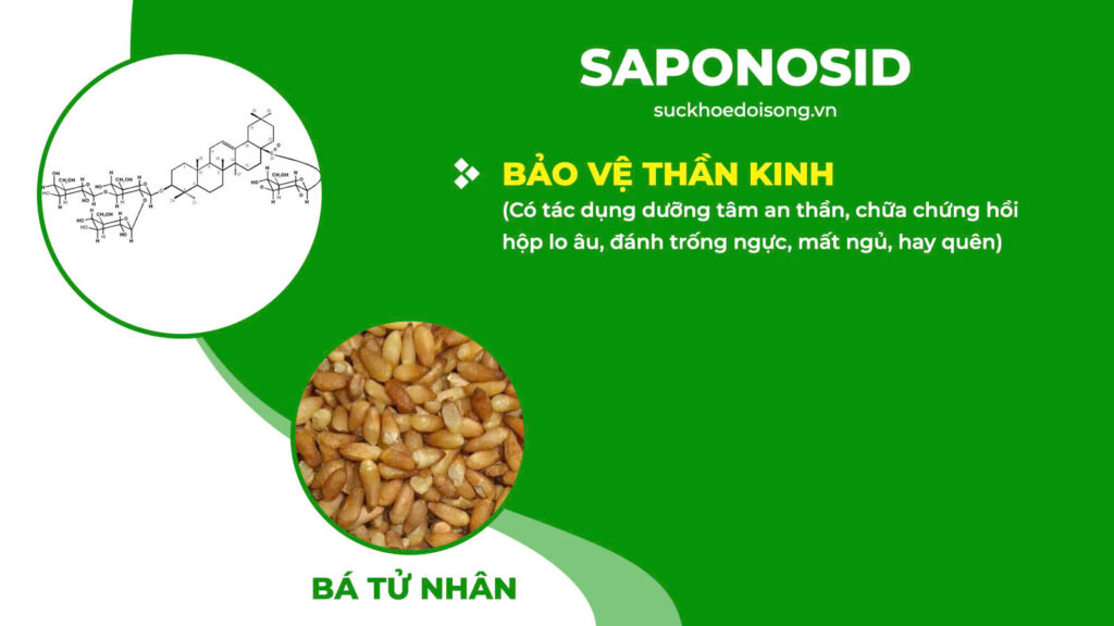 Thành phần hoá học Thanh tâm an thần 