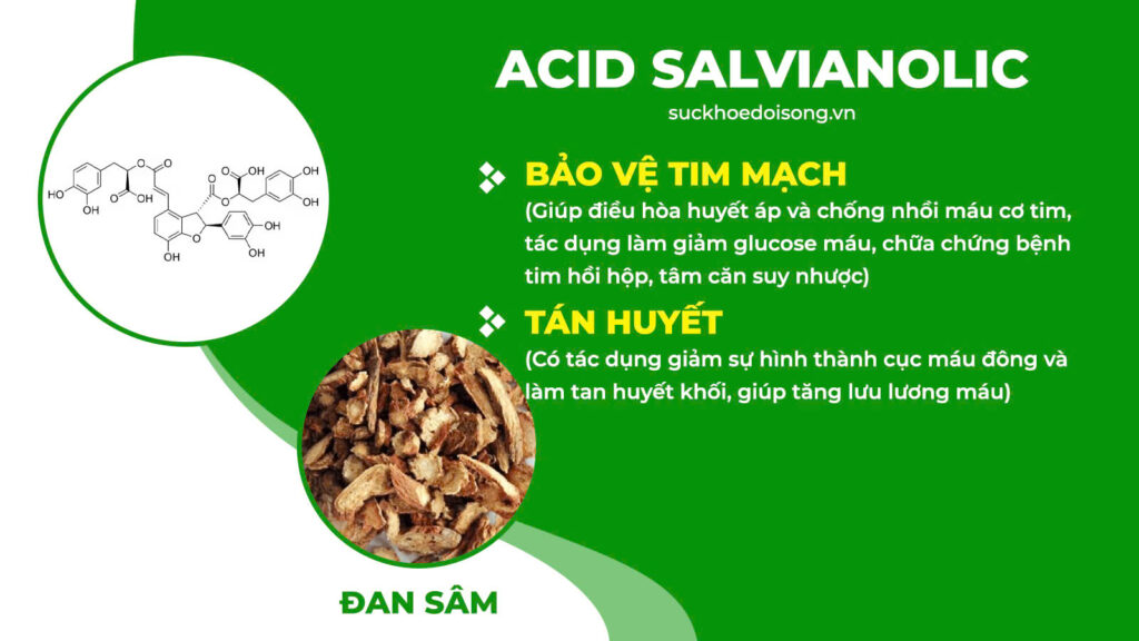 Thành phần hoá học Thanh tâm an thần 