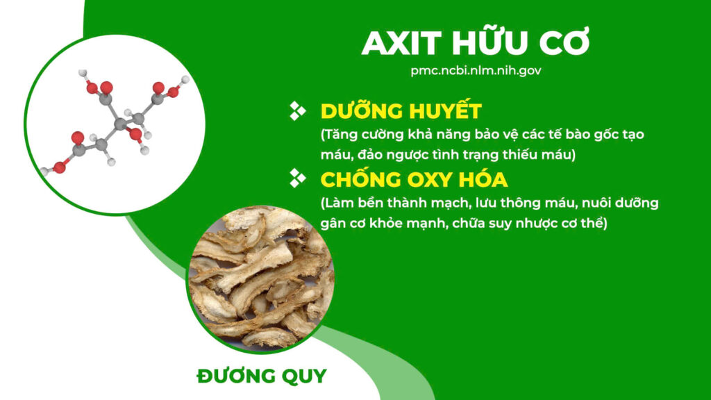 Thành phần hoá học Thanh tâm an thần 