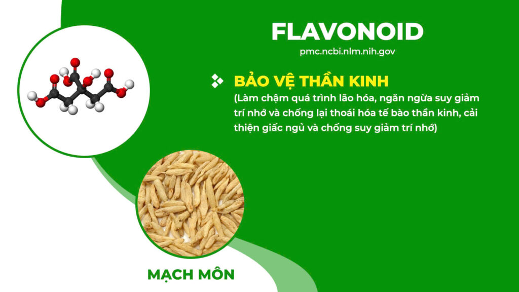 Thành phần hoá học Thanh tâm an thần 