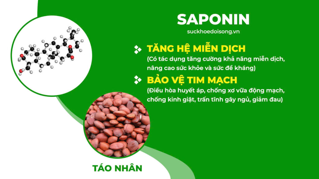 Thành phần hoá học Thanh tâm an thần 