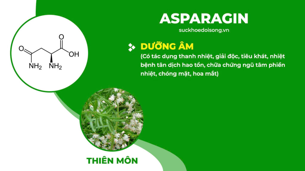 Thành phần hoá học Thanh tâm an thần 