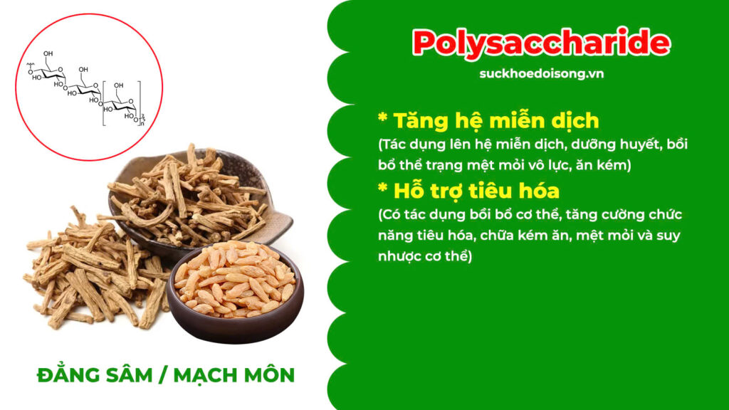 Thành phần hoá học Thanh tâm phục thần 