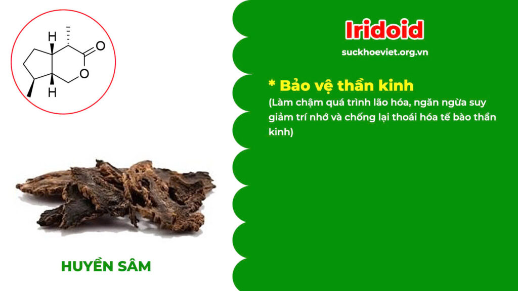 Thành phần hoá học Thanh tâm phục thần 