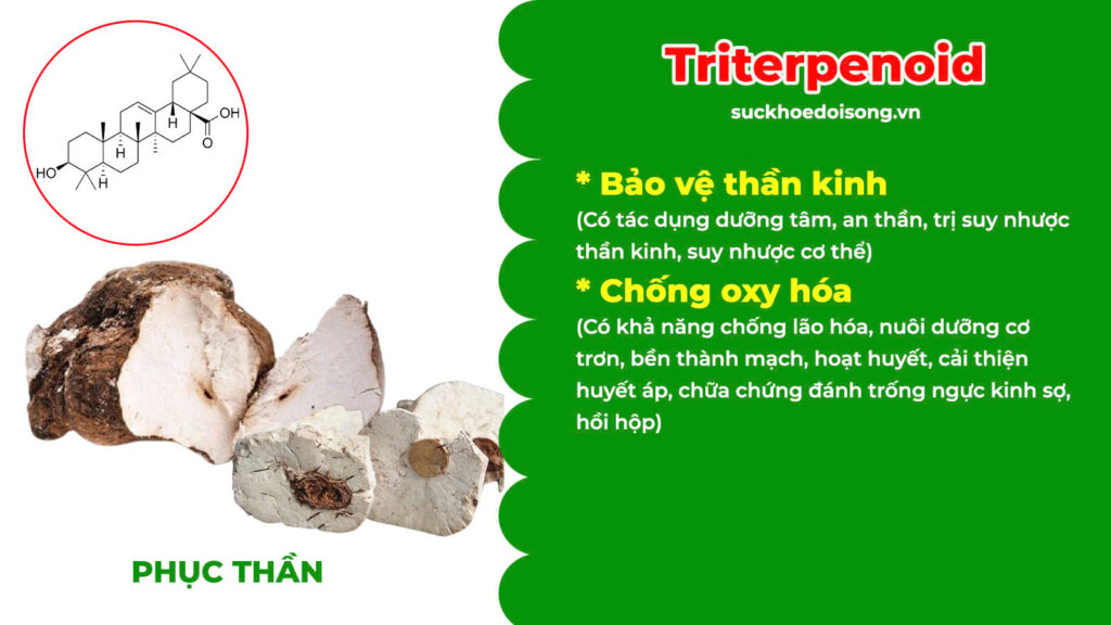 Thành phần hoá học Thanh tâm phục thần 