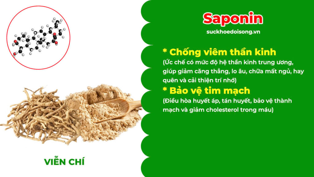 Thành phần hoá học Thanh tâm phục thần 