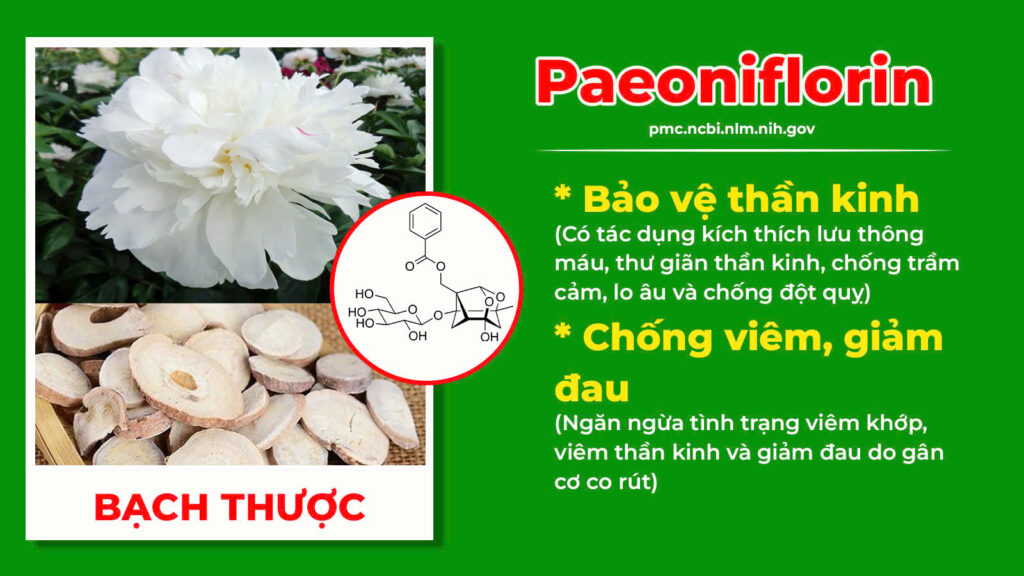 Thành phần hoá học Thoái hoá khớp 