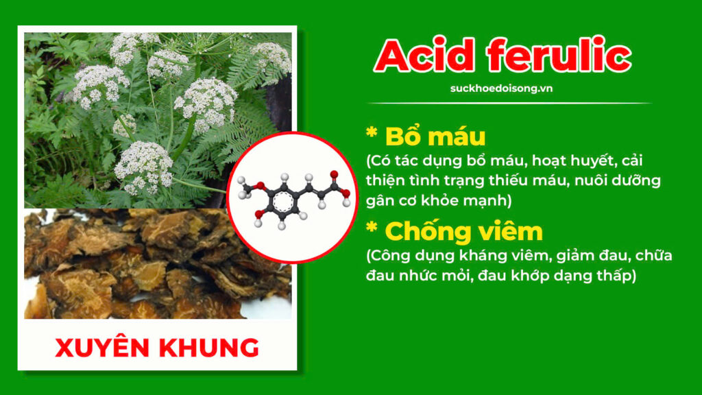 Thành phần hoá học Thoái hoá khớp 