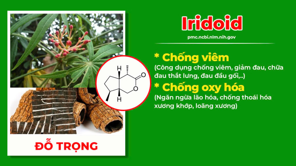 Thành phần hoá học Thoái hoá khớp 