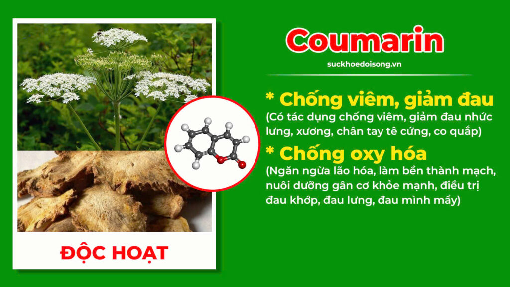 Thành phần hoá học Thoái hoá khớp 