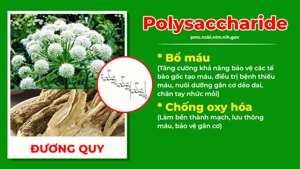 Thành phần hoá học Thoái hoá khớp 