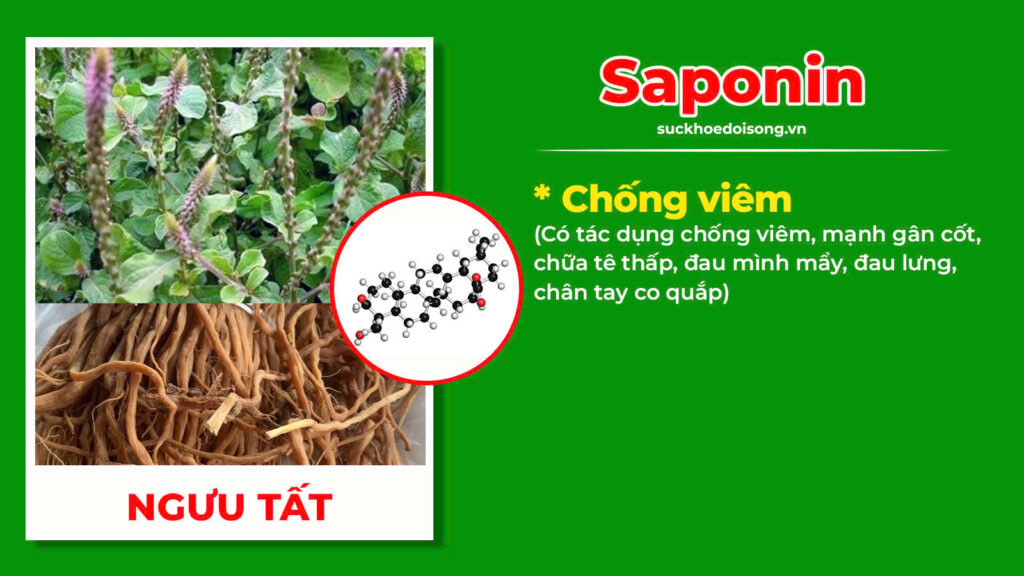 Thành phần hoá học Thoái hoá khớp 