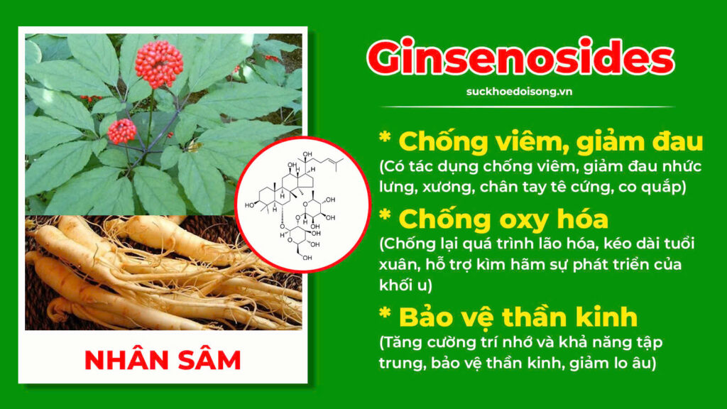 Thành phần hoá học Thoái hoá khớp 