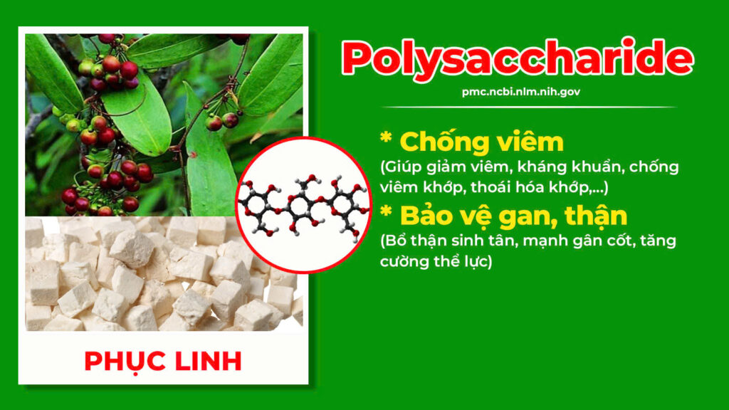 Thành phần hoá học Thoái hoá khớp 